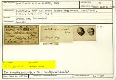 Karteikarte zum Syntyp von Textilaria minima Karrer, 1864